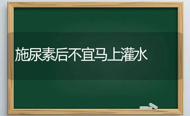 施尿素后不宜马上灌水 | 养殖知识