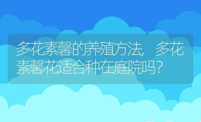 多花素馨的养殖方法,多花素馨花适合种在庭院吗？ | 养殖科普