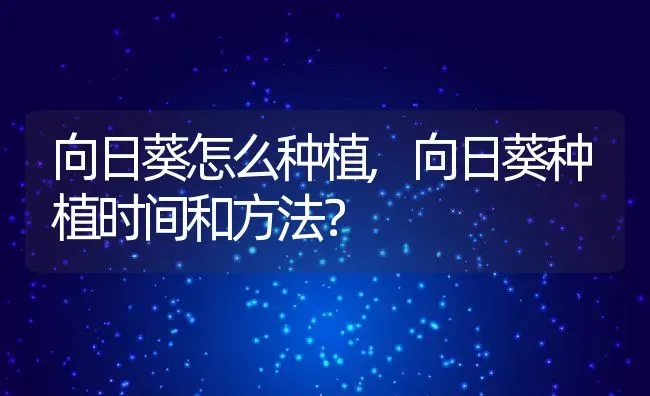 观赏鱼能吃吗,观赏鱼能吃吗求答案 | 养殖资料