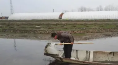 投放外地苗的河蟹池塘春节前管理重点 | 常识大全