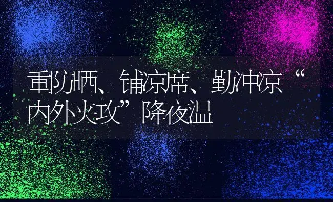 重防晒、铺凉席、勤冲凉“内外夹攻”降夜温 | 养殖技术大全