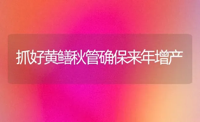 抓好黄鳝秋管确保来年增产 | 养殖知识