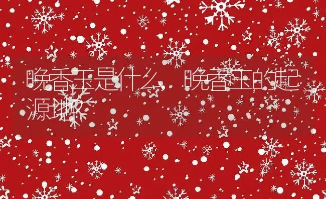 晚香玉是什么,晚香玉的起源地？ | 养殖科普