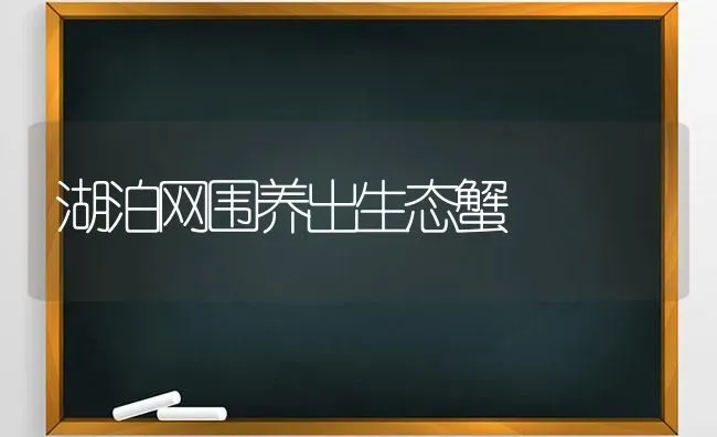 湖泊网围养出生态蟹 | 养殖知识