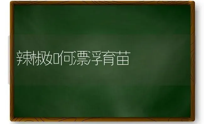 辣椒如何漂浮育苗 | 养殖技术大全