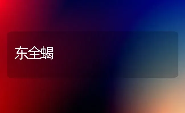 东全蝎 | 养殖技术大全