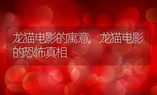 龙猫电影的寓意,龙猫电影的恐怖真相 | 养殖科普