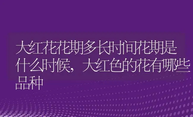 大红花花期多长时间花期是什么时候,大红色的花有哪些品种 | 养殖学堂