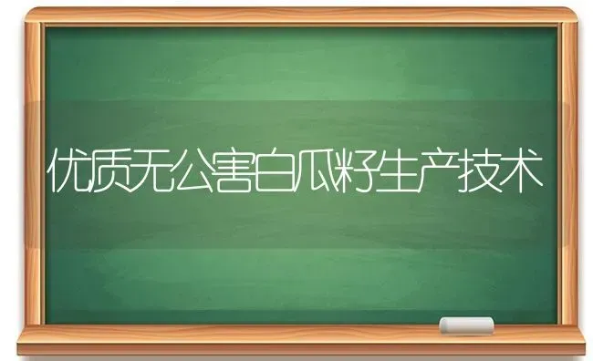 优质无公害白瓜籽生产技术 | 养殖知识