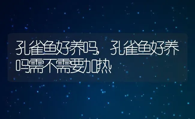 孔雀鱼好养吗,孔雀鱼好养吗需不需要加热 | 养殖科普