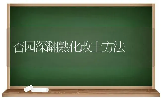 杏园深翻熟化改土方法 | 养殖知识