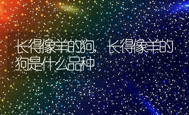 长得像羊的狗,长得像羊的狗是什么品种 | 养殖资料