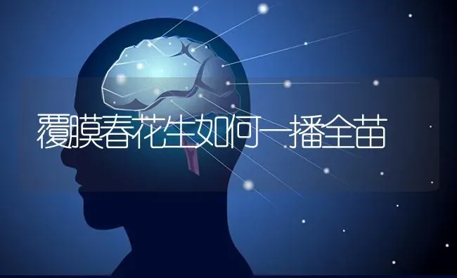 覆膜春花生如何一播全苗 | 养殖知识