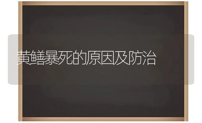 黄鳝暴死的原因及防治 | 养殖技术大全