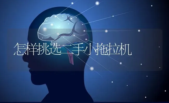 怎样挑选二手小拖拉机 | 养殖知识