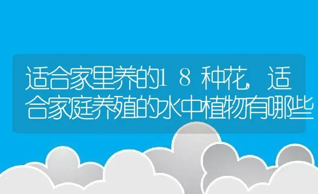 适合家里养的18种花,适合家庭养殖的水中植物有哪些 | 养殖学堂