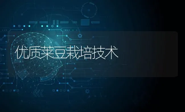 优质莱豆栽培技术 | 养殖知识