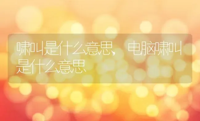 啸叫是什么意思,电脑啸叫是什么意思 | 养殖科普