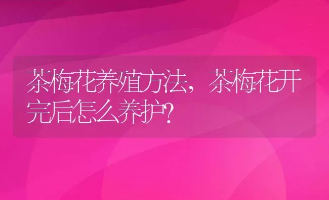 茶梅花养殖方法,茶梅花开完后怎么养护？ | 养殖科普