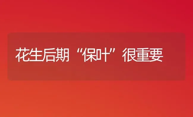 花生后期“保叶”很重要 | 养殖技术大全