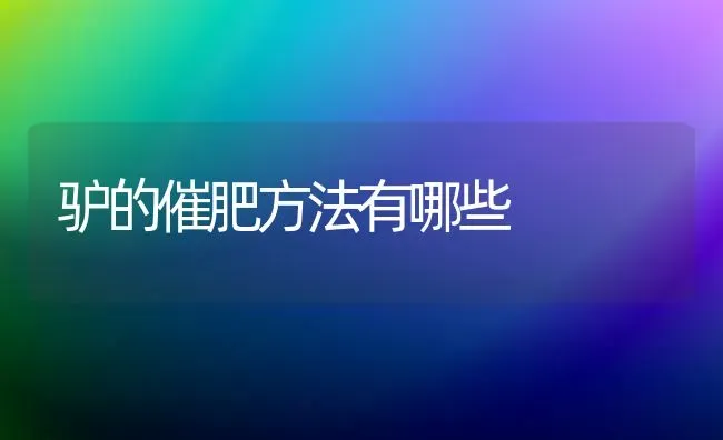 驴的催肥方法有哪些 | 养殖技术大全