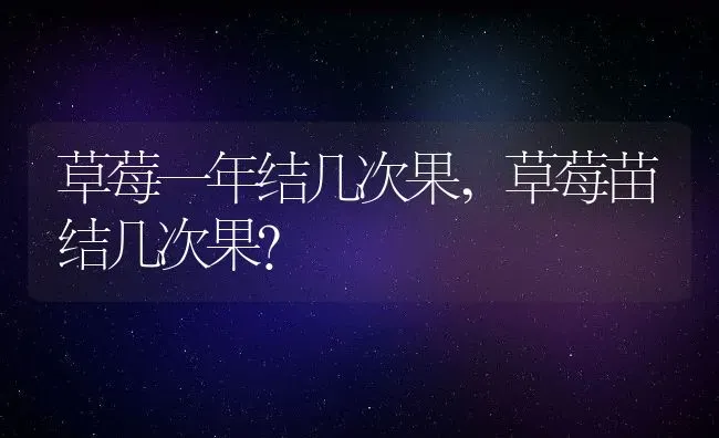 草莓一年结几次果,草莓苗结几次果？ | 养殖科普