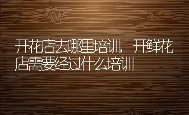 开花店去哪里培训,开鲜花店需要经过什么培训 | 养殖学堂