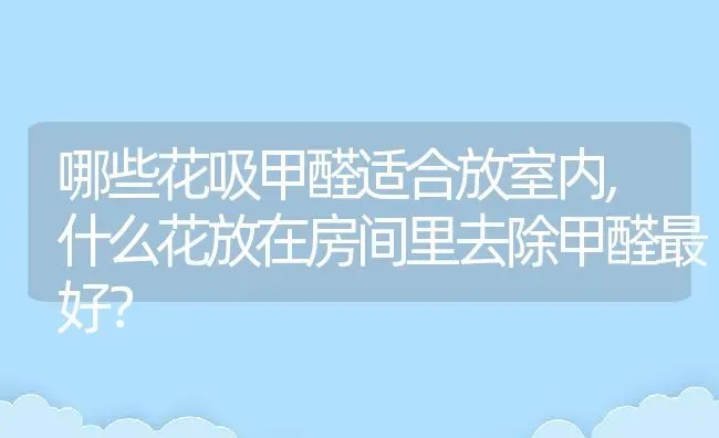 哪些花吸甲醛适合放室内,什么花放在房间里去除甲醛最好？ | 养殖学堂