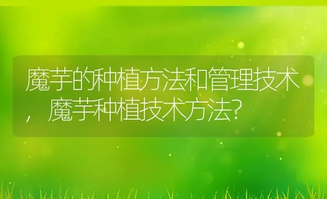魔芋的种植方法和管理技术,魔芋种植技术方法？ | 养殖科普