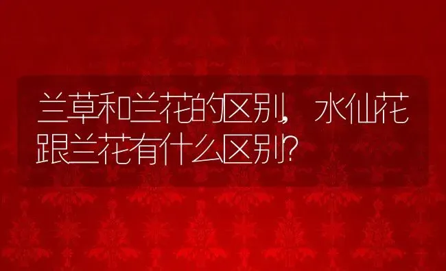 兰草和兰花的区别,水仙花跟兰花有什么区别？ | 养殖科普