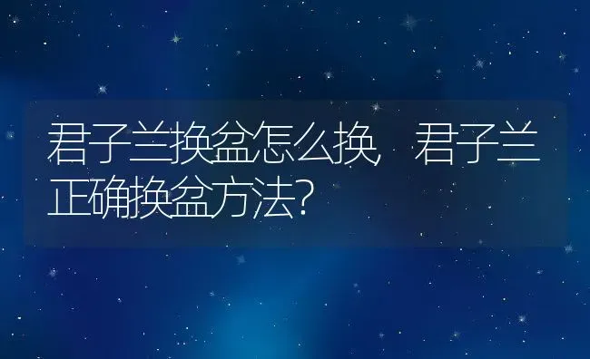 藏红花多少钱一克,藏红花图片多少钱一斤？ | 养殖科普