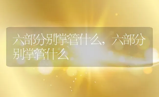 六部分别掌管什么,六部分别掌管什么 | 养殖科普