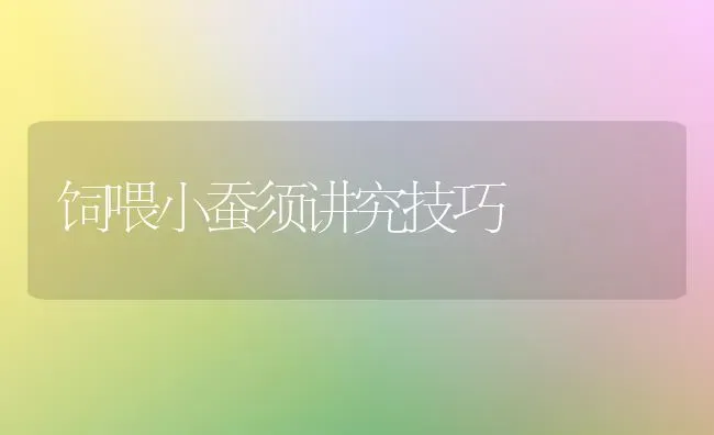 饲喂小蚕须讲究技巧 | 养殖技术大全