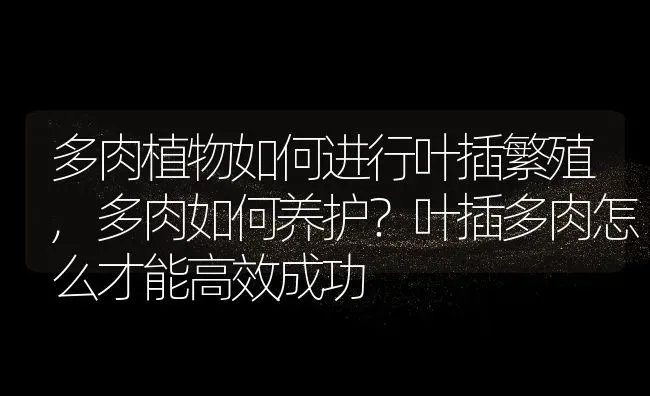 多肉植物如何进行叶插繁殖,多肉如何养护？叶插多肉怎么才能高效成功 | 养殖学堂