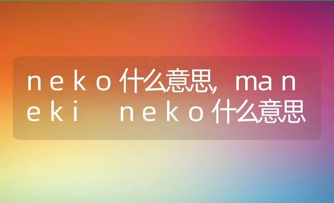 neko什么意思,maneki neko什么意思 | 养殖资料