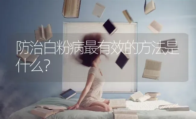 防治白粉病最有效的方法是什么? | 养殖知识