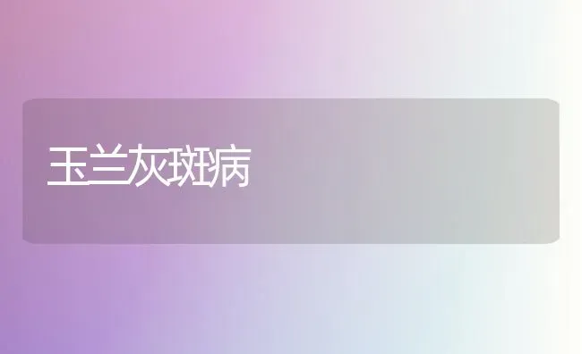 玉兰灰斑病 | 养殖技术大全