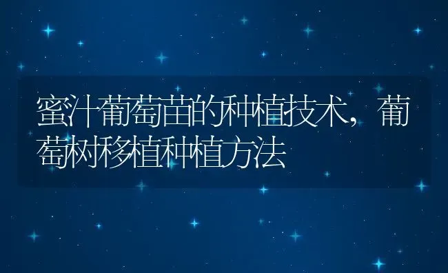 蜜汁葡萄苗的种植技术,葡萄树移植种植方法 | 养殖学堂