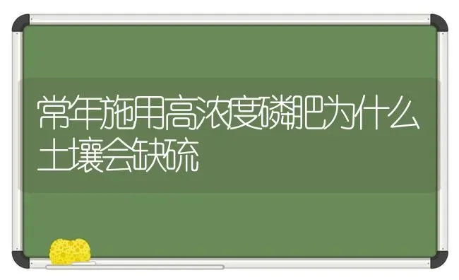 常年施用高浓度磷肥为什么土壤会缺硫 | 养殖知识