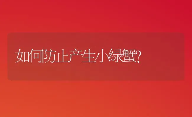 如何防止产生小绿蟹? | 养殖知识