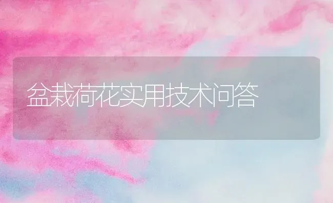 盆栽荷花实用技术问答 | 养殖技术大全