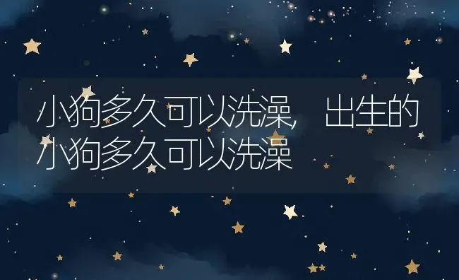 小狗多久可以洗澡,出生的小狗多久可以洗澡 | 养殖科普
