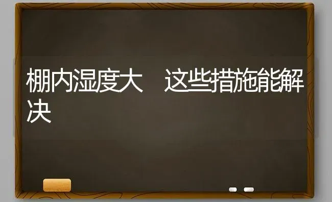 棚内湿度大 这些措施能解决 | 养殖技术大全