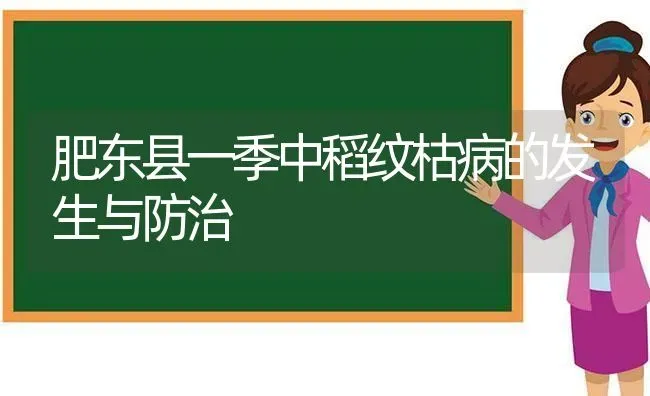 肥东县一季中稻纹枯病的发生与防治 | 养殖技术大全