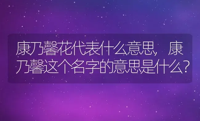 康乃馨花代表什么意思,康乃馨这个名字的意思是什么？ | 养殖科普