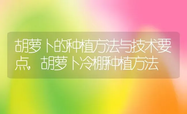 胡萝卜的种植方法与技术要点,胡萝卜冷棚种植方法 | 养殖学堂