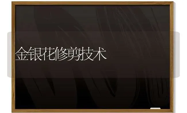 金银花修剪技术 | 养殖知识
