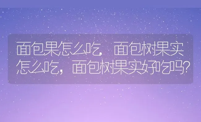 面包果怎么吃,面包树果实怎么吃，面包树果实好吃吗？ | 养殖科普