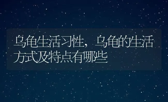 乌龟生活习性,乌龟的生活方式及特点有哪些 | 养殖资料