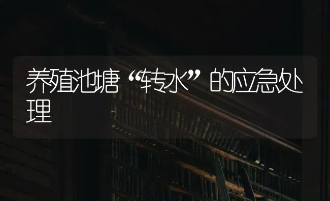 养殖池塘“转水”的应急处理 | 养殖知识